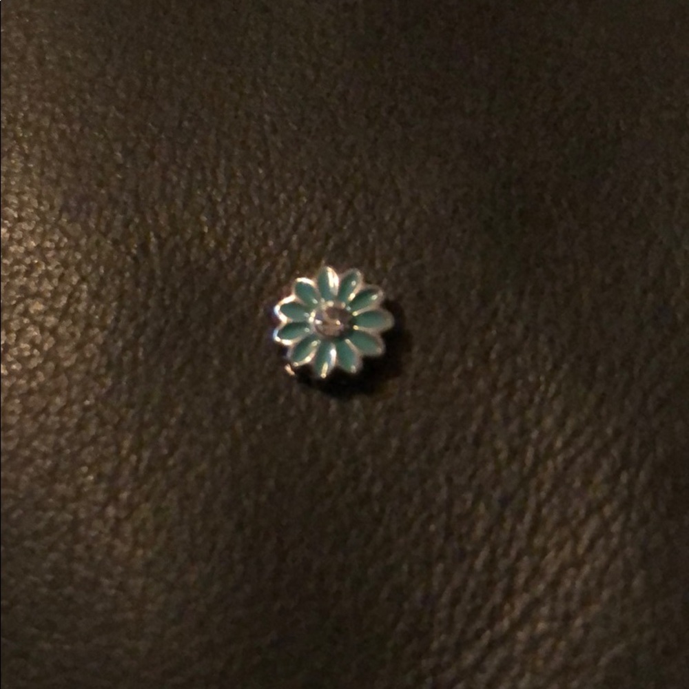 Origami owl charm